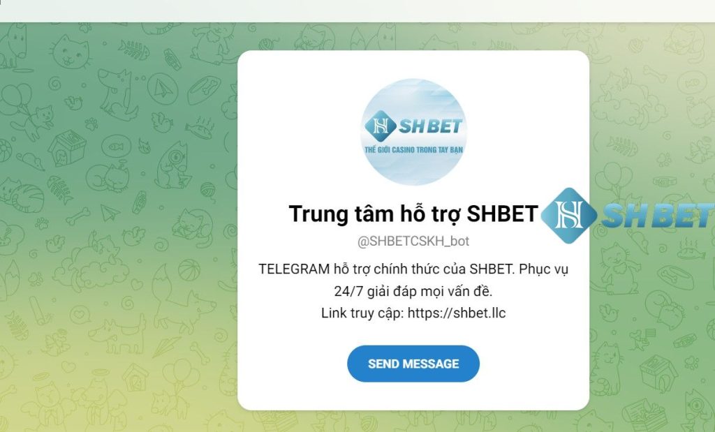 Liên hệ Shbet người chơi phải lưu ý điều gì?